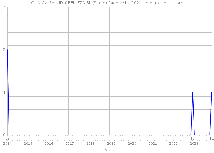 CLINICA SALUD Y BELLEZA SL (Spain) Page visits 2024 