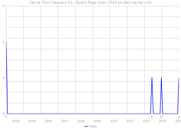 Garcia Tibio Vaquero S.L. (Spain) Page visits 2024 