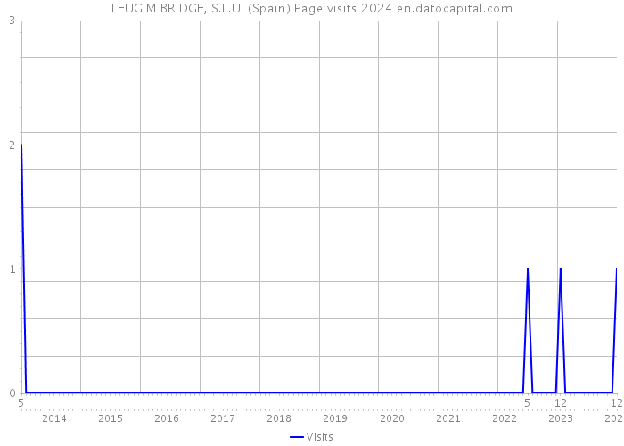LEUGIM BRIDGE, S.L.U. (Spain) Page visits 2024 