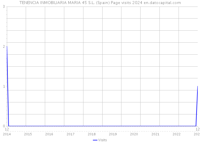 TENENCIA INMOBILIARIA MARIA 45 S.L. (Spain) Page visits 2024 