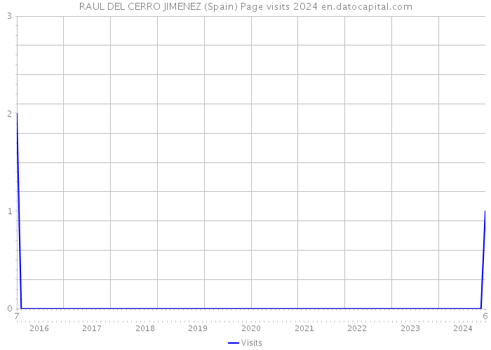 RAUL DEL CERRO JIMENEZ (Spain) Page visits 2024 