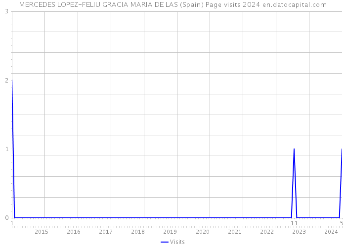 MERCEDES LOPEZ-FELIU GRACIA MARIA DE LAS (Spain) Page visits 2024 