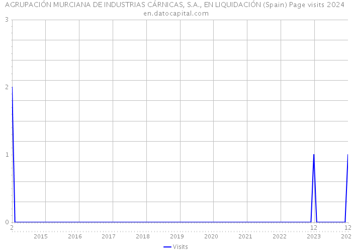 AGRUPACIÓN MURCIANA DE INDUSTRIAS CÁRNICAS, S.A., EN LIQUIDACIÓN (Spain) Page visits 2024 
