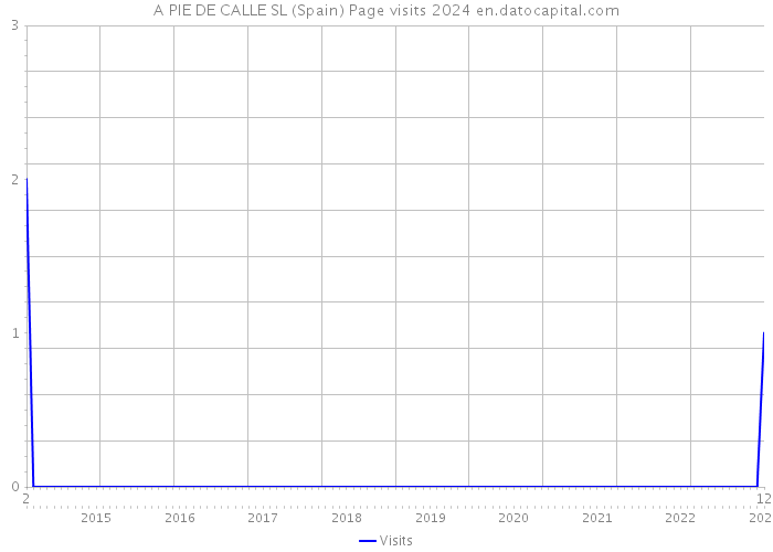 A PIE DE CALLE SL (Spain) Page visits 2024 