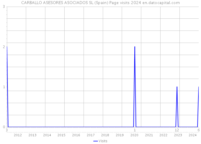 CARBALLO ASESORES ASOCIADOS SL (Spain) Page visits 2024 