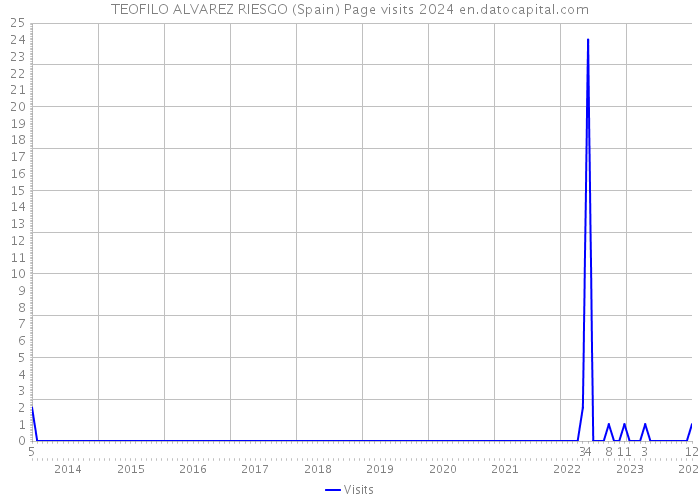 TEOFILO ALVAREZ RIESGO (Spain) Page visits 2024 