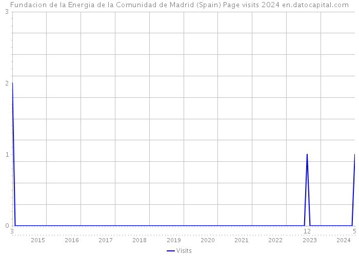 Fundacion de la Energia de la Comunidad de Madrid (Spain) Page visits 2024 