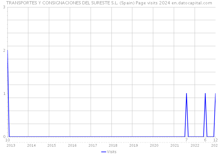 TRANSPORTES Y CONSIGNACIONES DEL SURESTE S.L. (Spain) Page visits 2024 