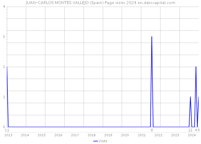JUAN-CARLOS MONTES VALLEJO (Spain) Page visits 2024 