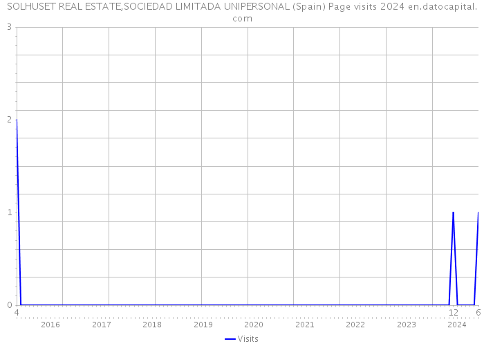 SOLHUSET REAL ESTATE,SOCIEDAD LIMITADA UNIPERSONAL (Spain) Page visits 2024 