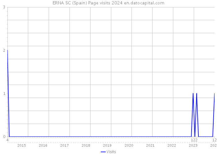 ERNA SC (Spain) Page visits 2024 