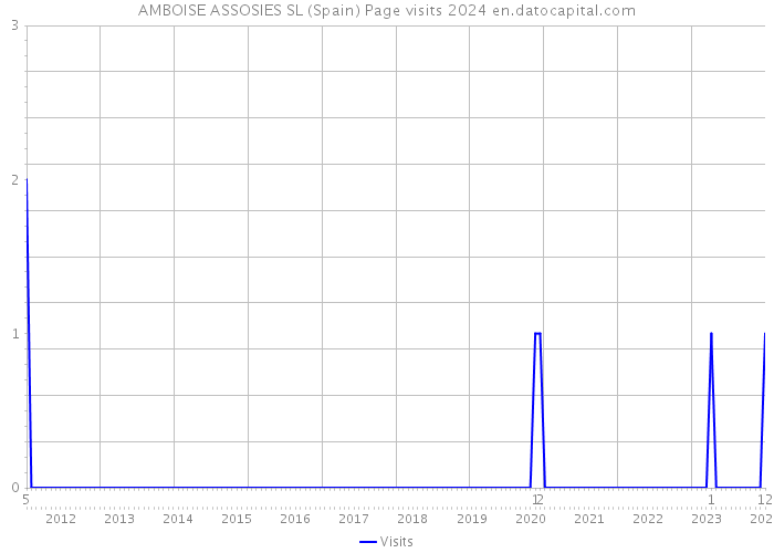 AMBOISE ASSOSIES SL (Spain) Page visits 2024 