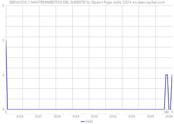 SERVICIOS Y MANTENIMIENTOS DEL SURESTE SL (Spain) Page visits 2024 