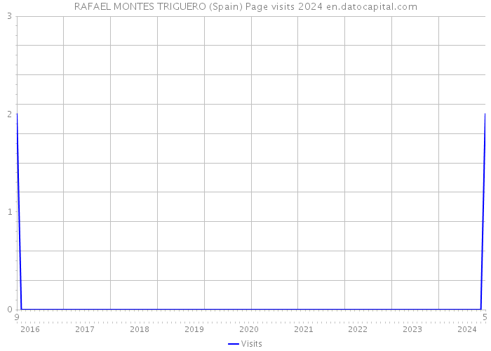 RAFAEL MONTES TRIGUERO (Spain) Page visits 2024 