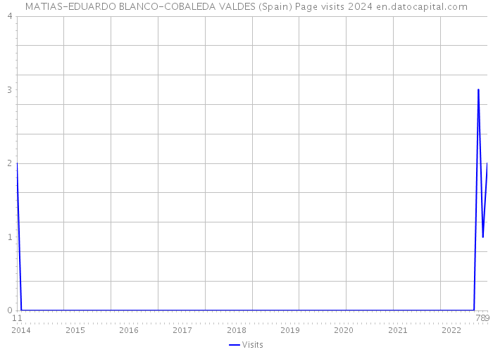 MATIAS-EDUARDO BLANCO-COBALEDA VALDES (Spain) Page visits 2024 
