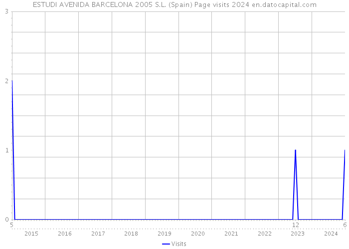 ESTUDI AVENIDA BARCELONA 2005 S.L. (Spain) Page visits 2024 