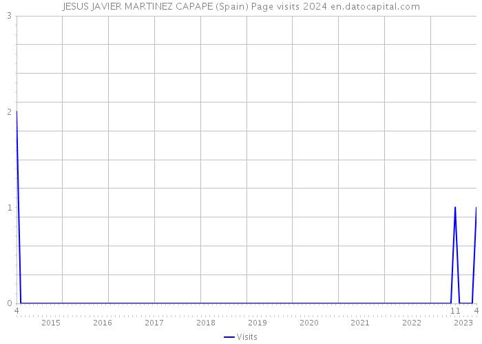 JESUS JAVIER MARTINEZ CAPAPE (Spain) Page visits 2024 