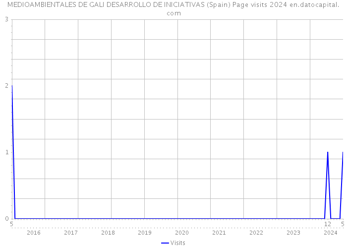 MEDIOAMBIENTALES DE GALI DESARROLLO DE INICIATIVAS (Spain) Page visits 2024 
