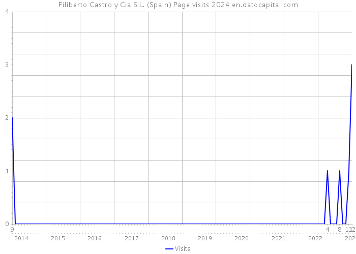 Filiberto Castro y Cia S.L. (Spain) Page visits 2024 