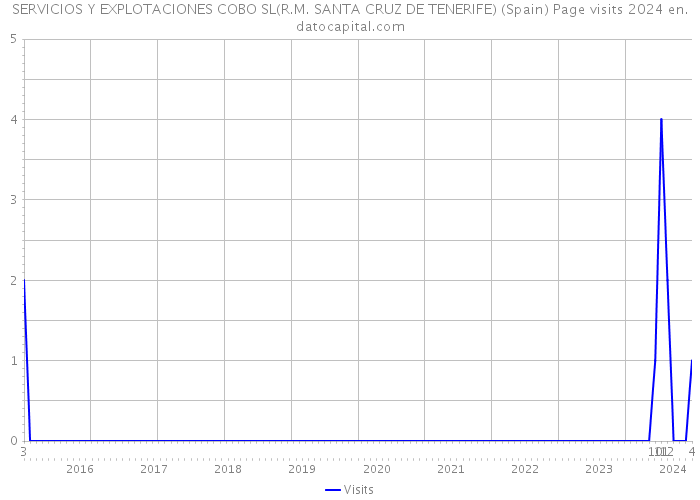 SERVICIOS Y EXPLOTACIONES COBO SL(R.M. SANTA CRUZ DE TENERIFE) (Spain) Page visits 2024 