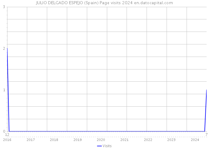 JULIO DELGADO ESPEJO (Spain) Page visits 2024 