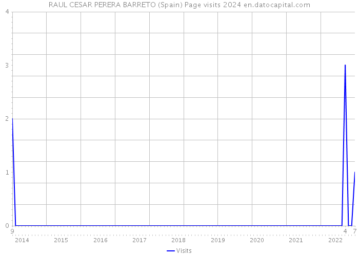 RAUL CESAR PERERA BARRETO (Spain) Page visits 2024 