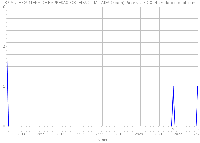 BRIARTE CARTERA DE EMPRESAS SOCIEDAD LIMITADA (Spain) Page visits 2024 