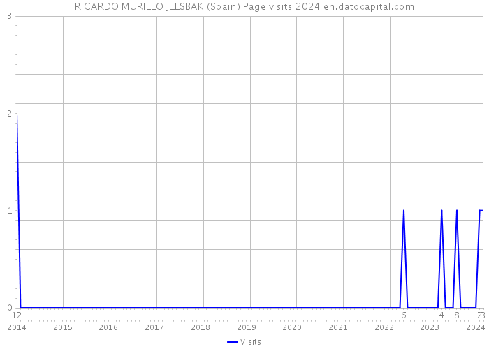 RICARDO MURILLO JELSBAK (Spain) Page visits 2024 