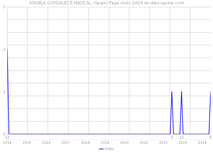 ANGELA GONZALEZ E HIJOS SL. (Spain) Page visits 2024 