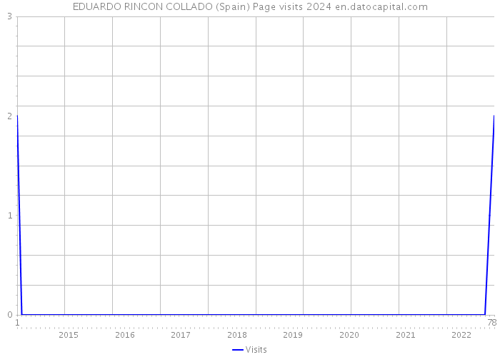 EDUARDO RINCON COLLADO (Spain) Page visits 2024 