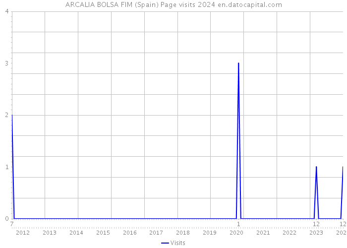 ARCALIA BOLSA FIM (Spain) Page visits 2024 
