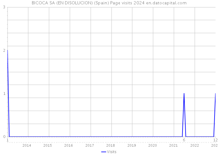 BICOCA SA (EN DISOLUCION) (Spain) Page visits 2024 