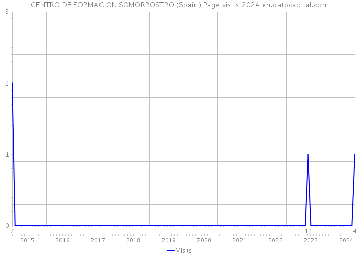CENTRO DE FORMACION SOMORROSTRO (Spain) Page visits 2024 