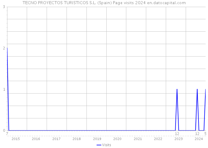 TECNO PROYECTOS TURISTICOS S.L. (Spain) Page visits 2024 