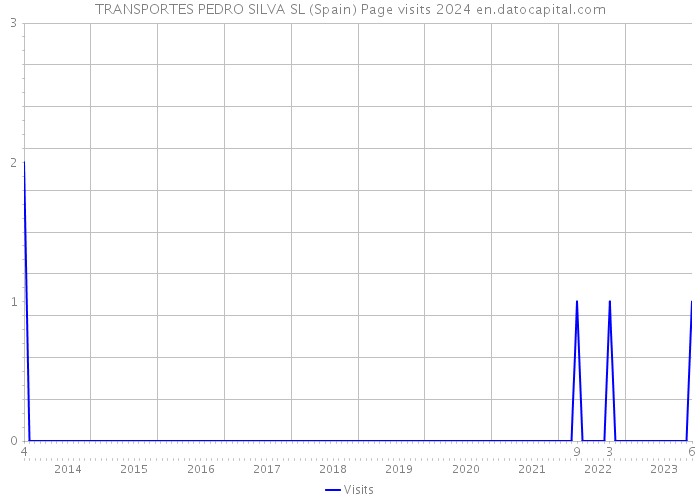 TRANSPORTES PEDRO SILVA SL (Spain) Page visits 2024 
