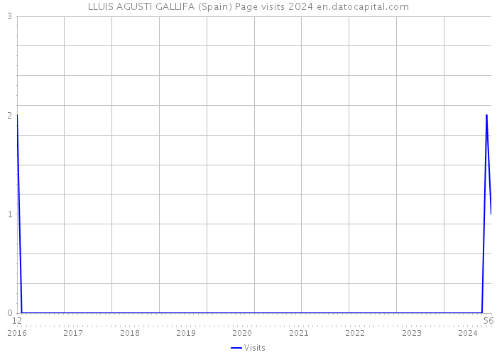 LLUIS AGUSTI GALLIFA (Spain) Page visits 2024 