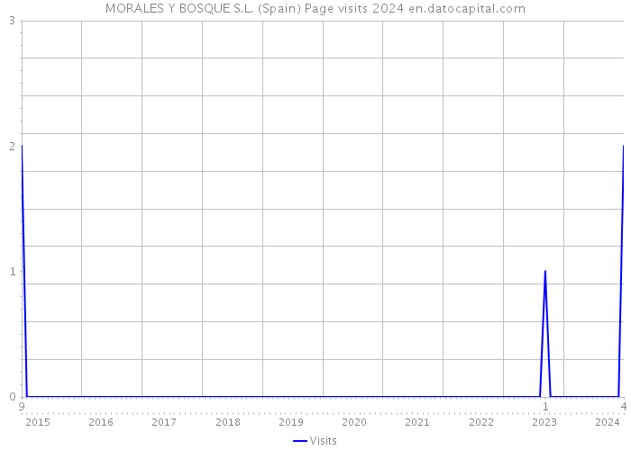 MORALES Y BOSQUE S.L. (Spain) Page visits 2024 