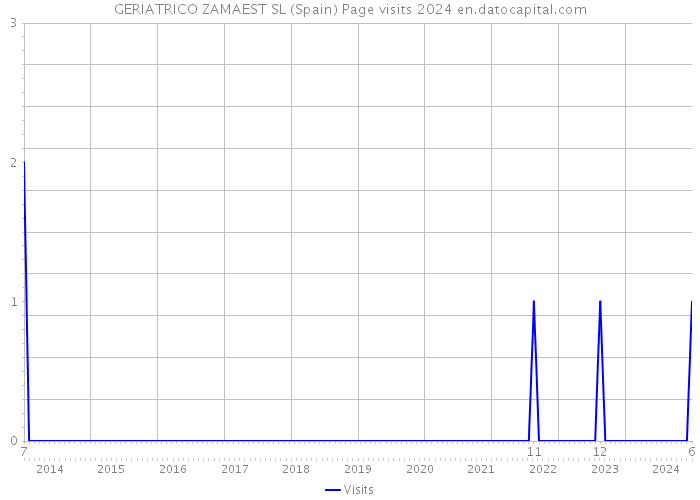 GERIATRICO ZAMAEST SL (Spain) Page visits 2024 
