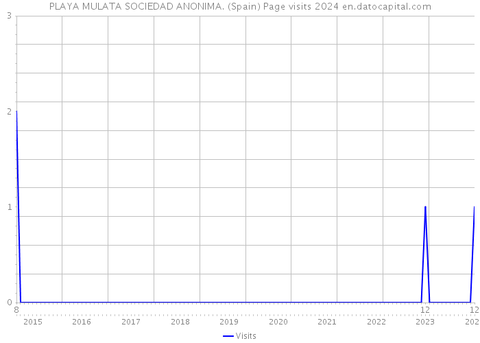 PLAYA MULATA SOCIEDAD ANONIMA. (Spain) Page visits 2024 