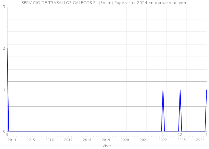 SERVICIO DE TRABALLOS GALEGOS SL (Spain) Page visits 2024 