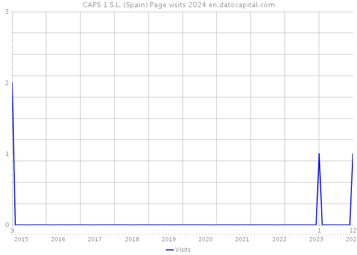 CAPS 1 S.L. (Spain) Page visits 2024 