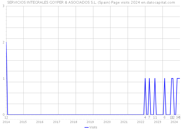 SERVICIOS INTEGRALES GOYPER & ASOCIADOS S.L. (Spain) Page visits 2024 