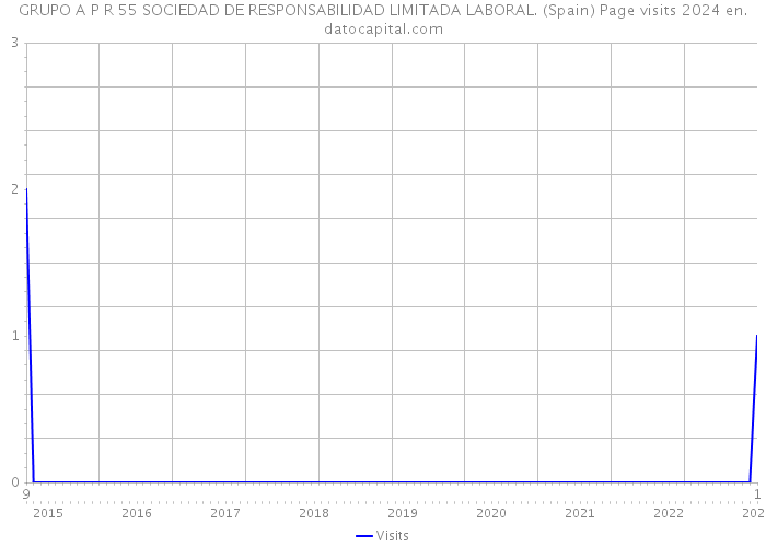 GRUPO A P R 55 SOCIEDAD DE RESPONSABILIDAD LIMITADA LABORAL. (Spain) Page visits 2024 