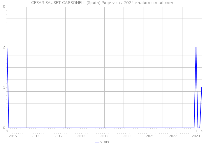 CESAR BAUSET CARBONELL (Spain) Page visits 2024 