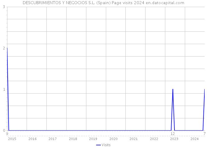 DESCUBRIMIENTOS Y NEGOCIOS S.L. (Spain) Page visits 2024 
