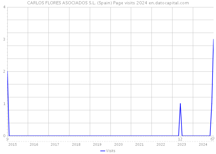 CARLOS FLORES ASOCIADOS S.L. (Spain) Page visits 2024 