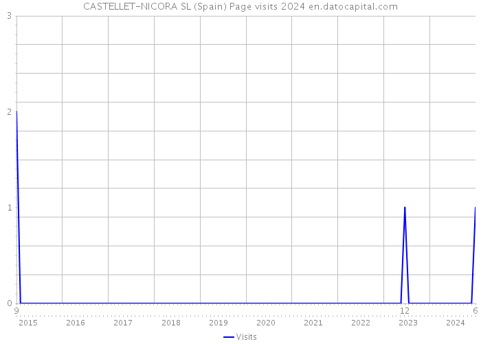 CASTELLET-NICORA SL (Spain) Page visits 2024 