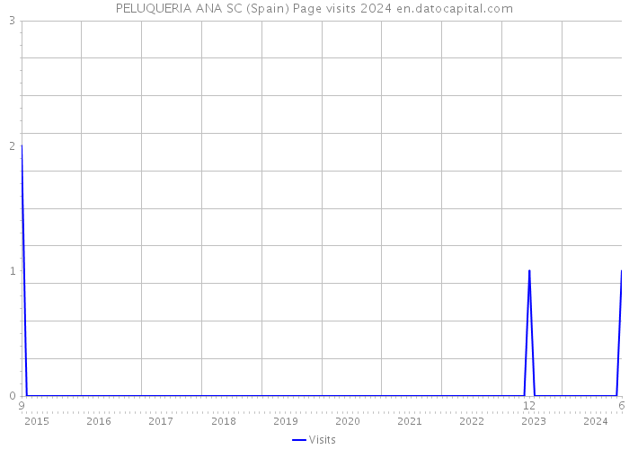 PELUQUERIA ANA SC (Spain) Page visits 2024 