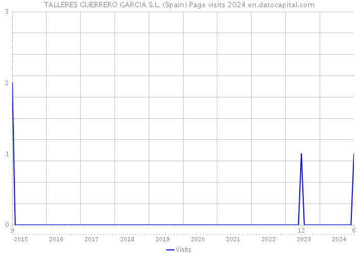 TALLERES GUERRERO GARCIA S.L. (Spain) Page visits 2024 