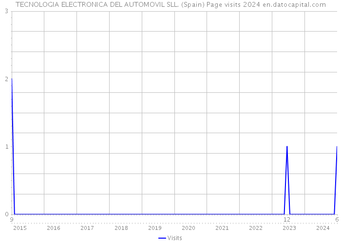 TECNOLOGIA ELECTRONICA DEL AUTOMOVIL SLL. (Spain) Page visits 2024 
